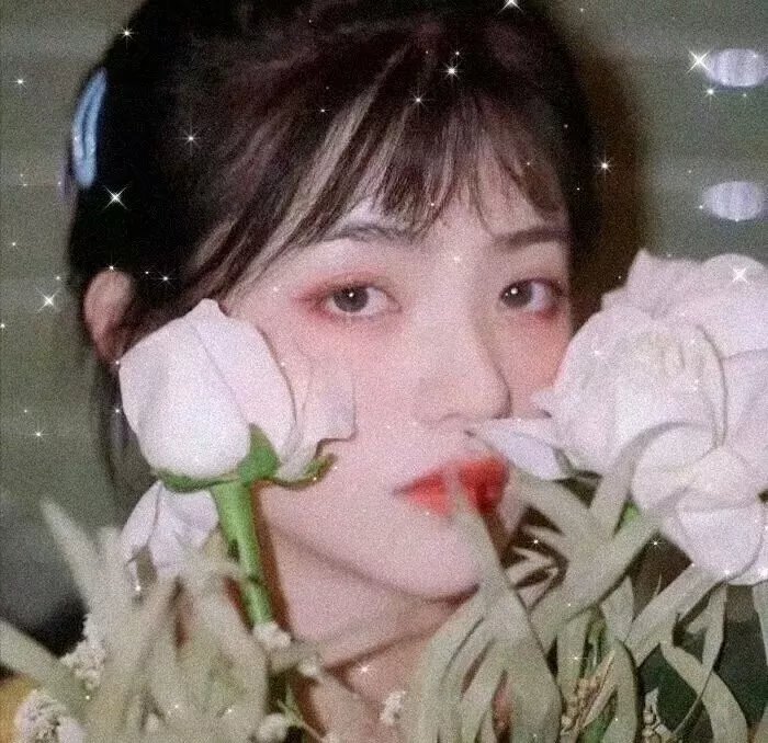 致所有我曾爱过的男孩 3